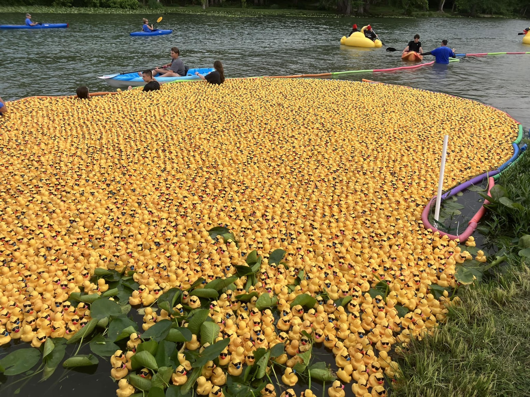 Ingram Tom Moore High School Gym