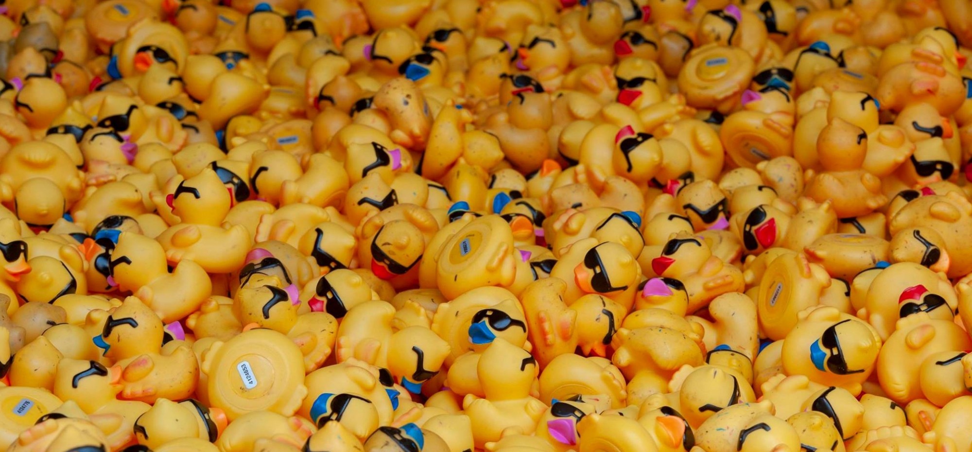 10000 rubber ducks