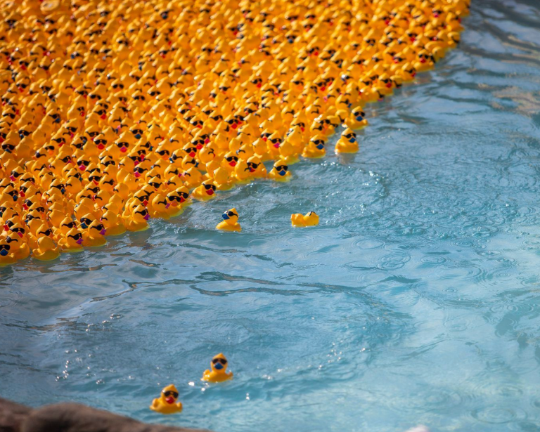 Zoom Duck Derby