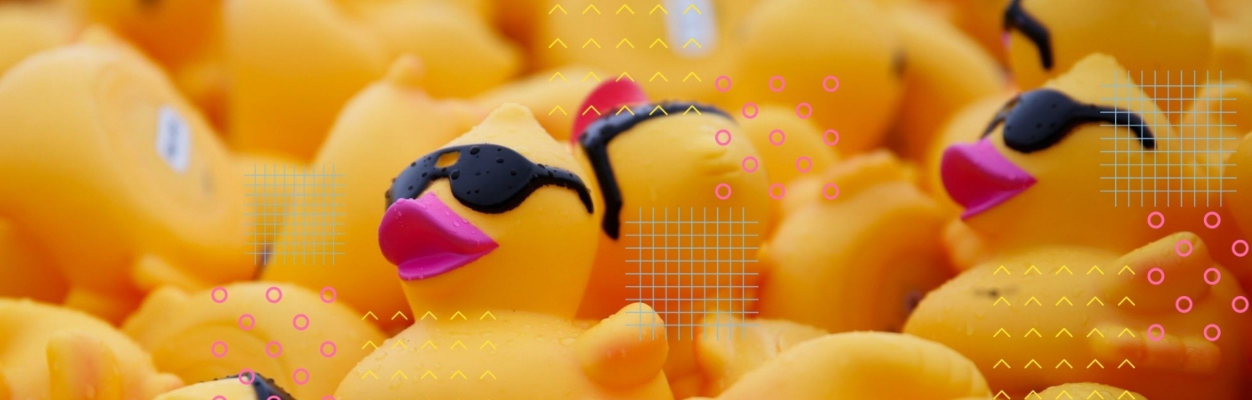 Adopt a Duck, Help a Kid!