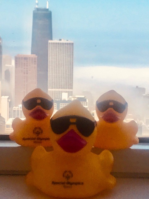 KPMG-Ducks in a Row